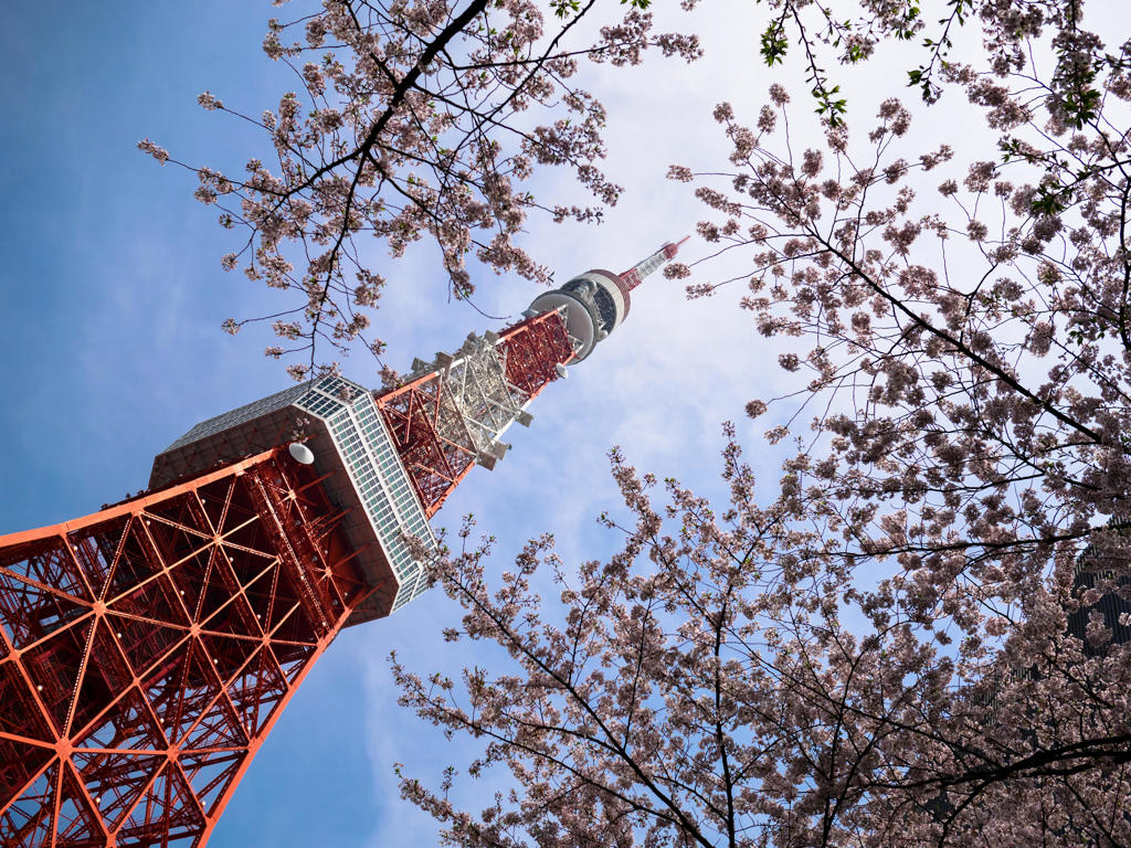うらら