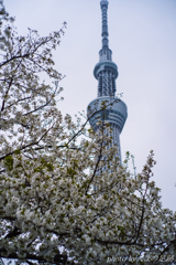 うらめしい空