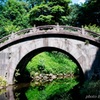 夏の架け橋