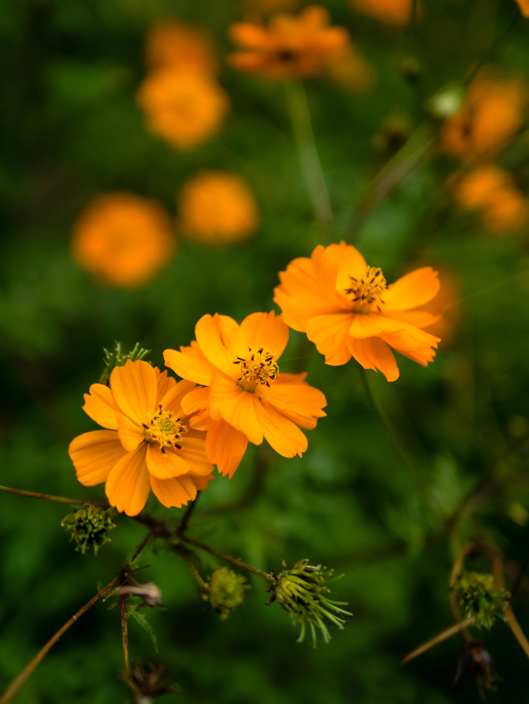 存在することの意義