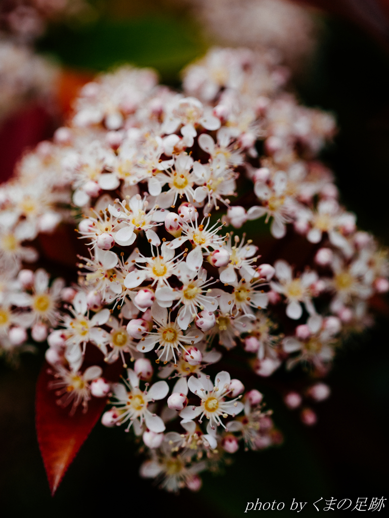 走り去るものへ