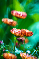 そして強くなる