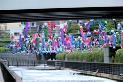 ゆらぎ