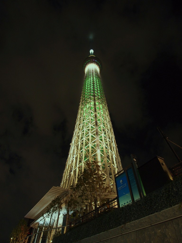 Dream Christmas  at Oshiage 1