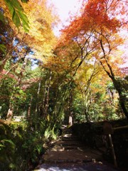 京都補完計画 其ノ柒