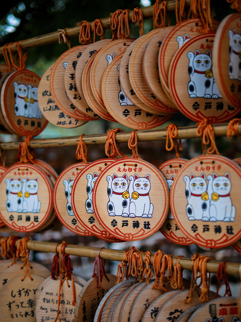 これからよろしくね!!