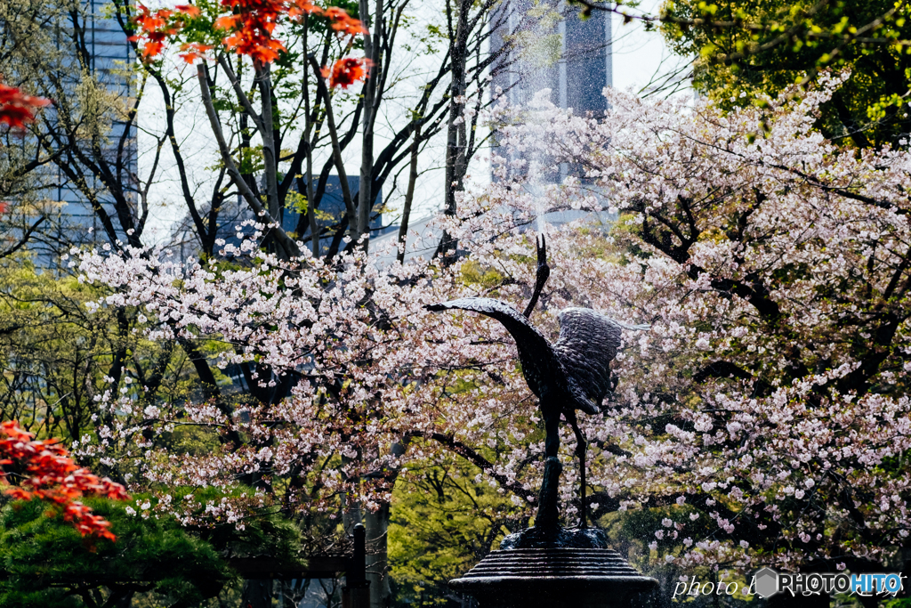 春の歓び