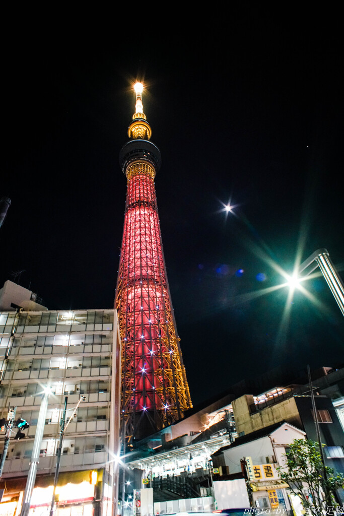 光芒を楽しむ