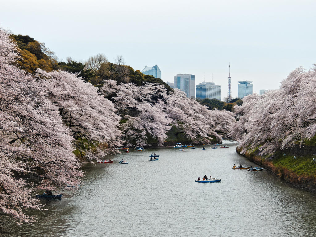 花曇り　