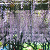 4月20日 天神通信 4