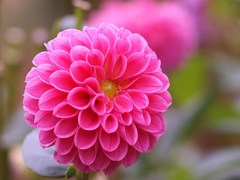 秋宴 ～ｼｭｳｴﾝ～ Ⅵ