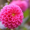 秋宴 ～ｼｭｳｴﾝ～ Ⅵ