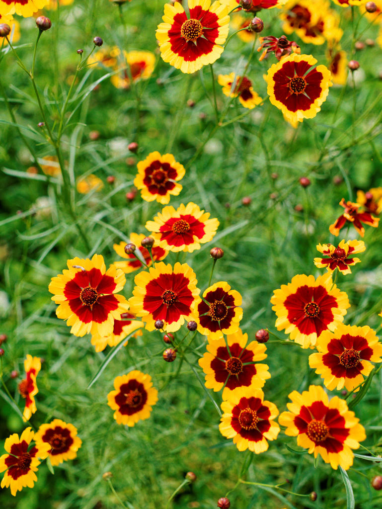 Pro 400H はじめてかも