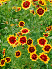 Pro 400H はじめてかも