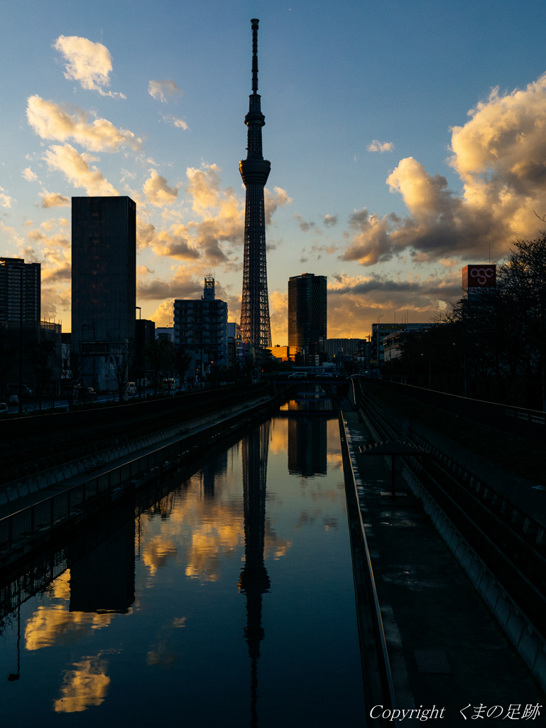 穏やかな日々