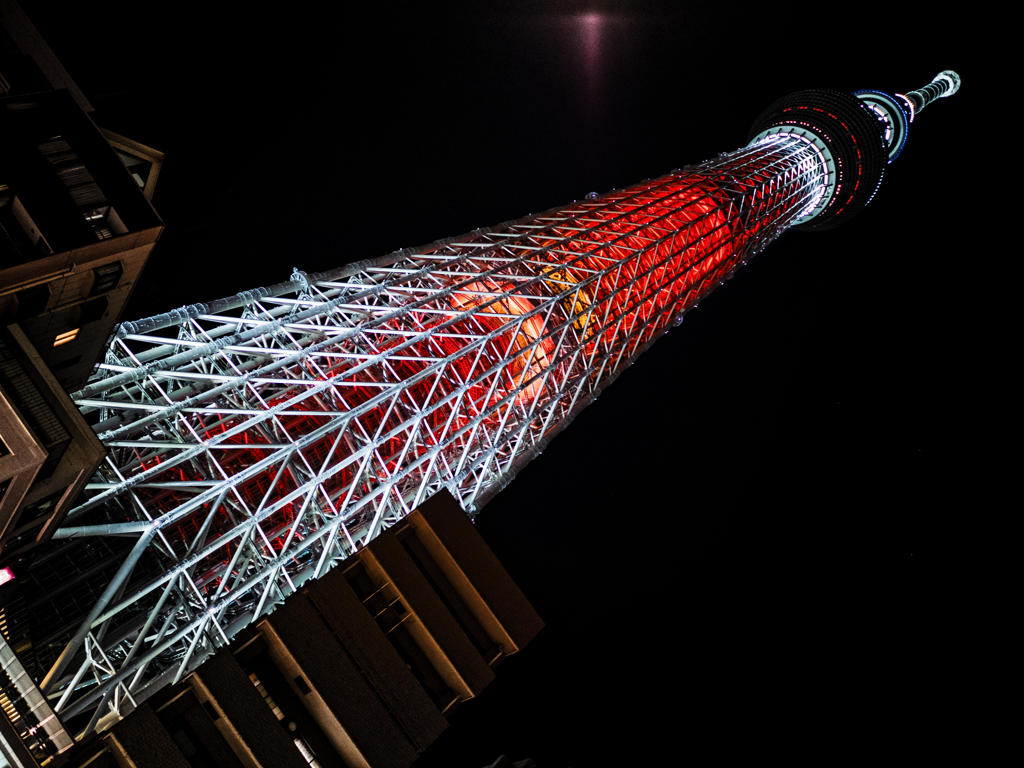 夜の紅葉