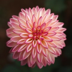 秋宴 ～ｼｭｳｴﾝ～ Ⅹ