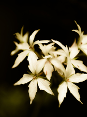 あーとちっくに