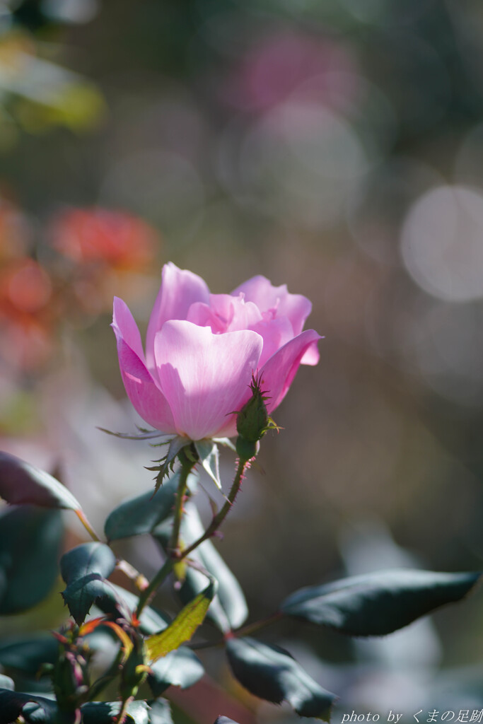 巨砲は裏切らない