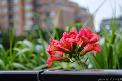 感じる夏の終わり