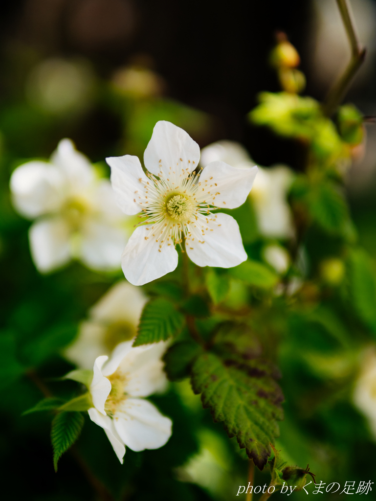 ま、そうですね