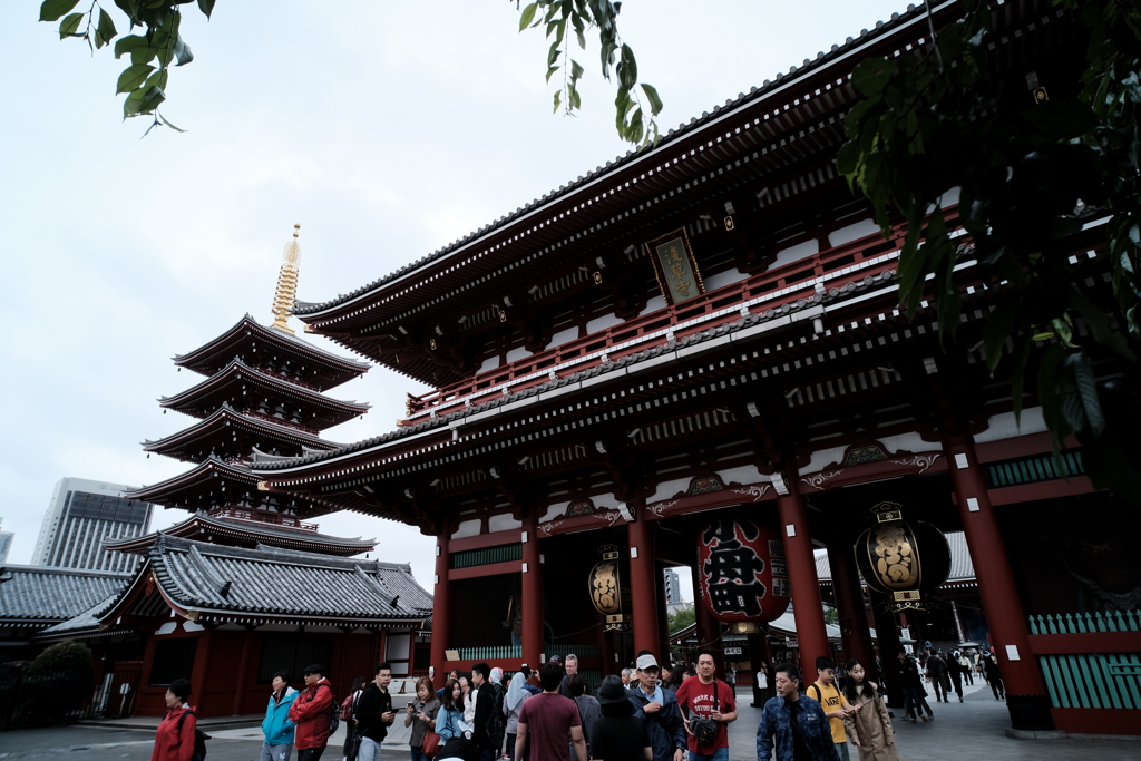 寒い朝