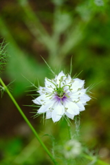 お手をふれないように