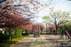 突然の蜘蛛の糸