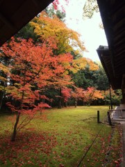 京都補完計画 其ノ佰弐拾玖