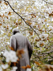 老兵は消えゆくのみ