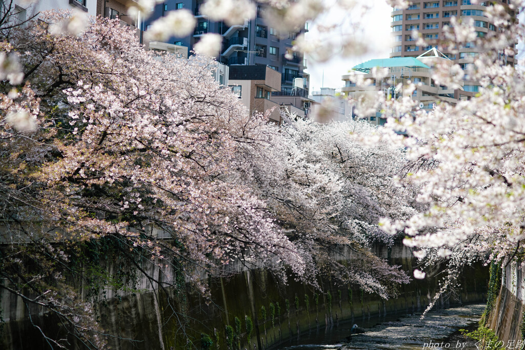 心のままに生きたとしても