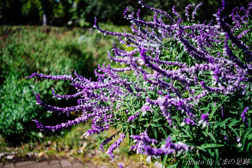 なにかが終わって