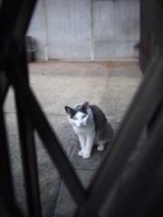 ･･･ん。