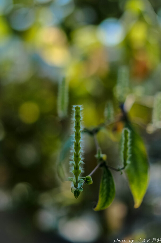 てのひらの中で