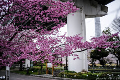 その手を広げて