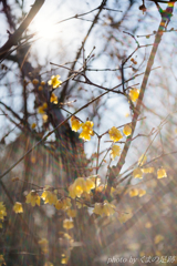 陽射しは誰にでもやさしく
