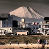 冬の朝練
