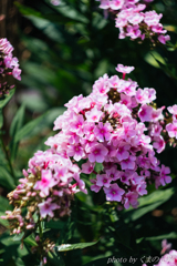 怒涛の七月も・・・