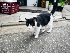 下町で