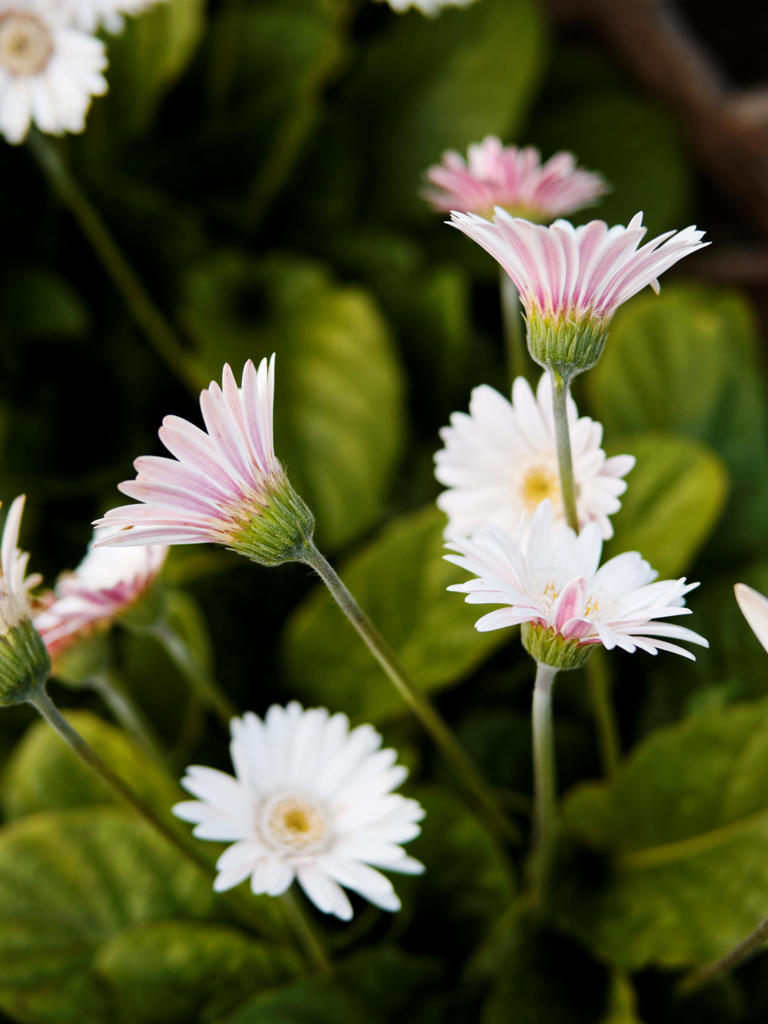 やさしさが溢れて