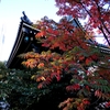 どうよう紅葉