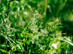 エンドオブエイプリル