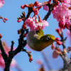 待てません