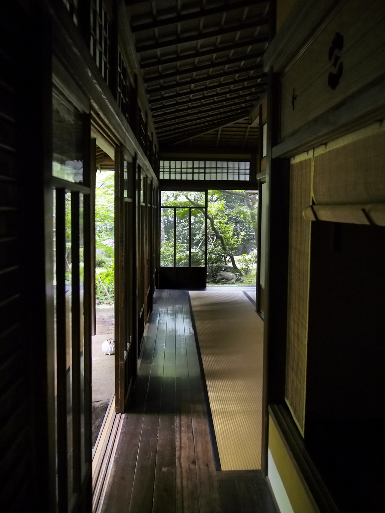 遠ざかる風景