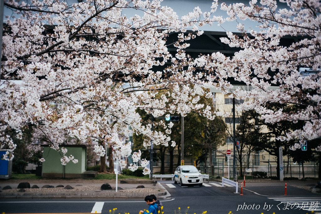 花冷え