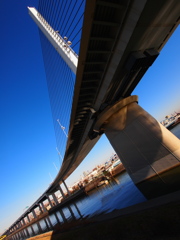 青空の調べ