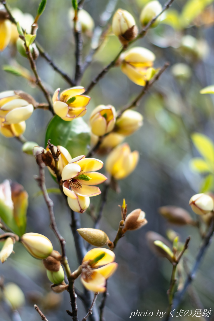 季節のスケッチ