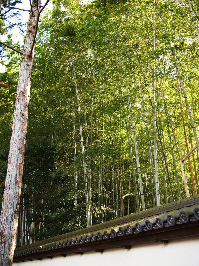 京都補完計画 其ノ捌拾捌