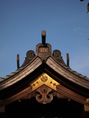 夏の陰り