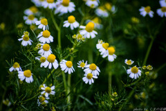 Things that don't change